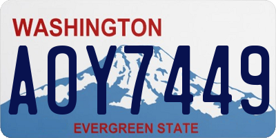WA license plate AOY7449
