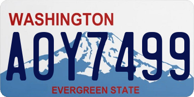 WA license plate AOY7499