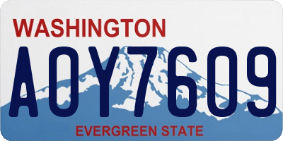 WA license plate AOY7609