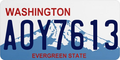 WA license plate AOY7613