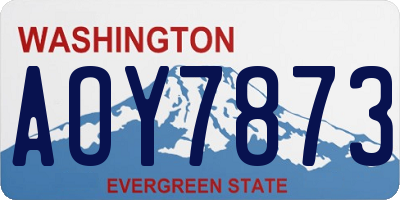 WA license plate AOY7873