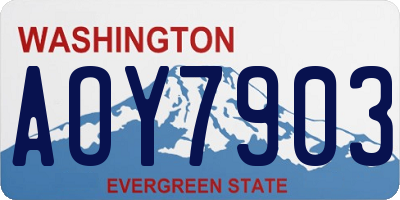 WA license plate AOY7903
