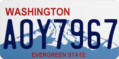 WA license plate AOY7967