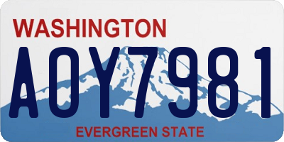 WA license plate AOY7981