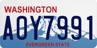 WA license plate AOY7991