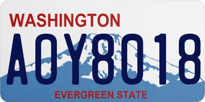 WA license plate AOY8018