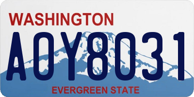 WA license plate AOY8031