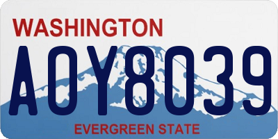 WA license plate AOY8039