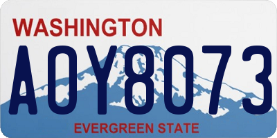 WA license plate AOY8073