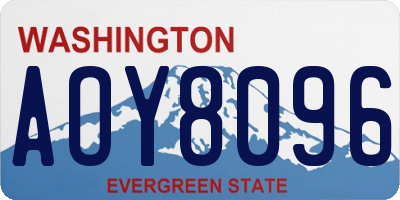 WA license plate AOY8096