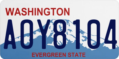 WA license plate AOY8104
