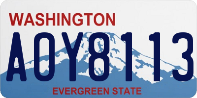 WA license plate AOY8113