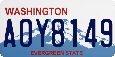 WA license plate AOY8149