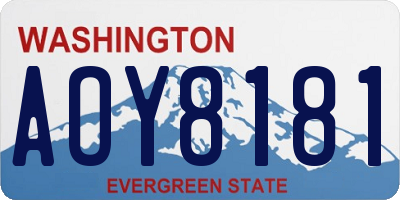 WA license plate AOY8181