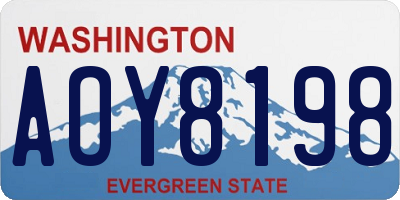WA license plate AOY8198