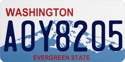 WA license plate AOY8205