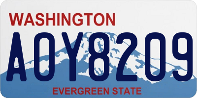 WA license plate AOY8209