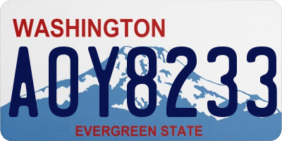 WA license plate AOY8233