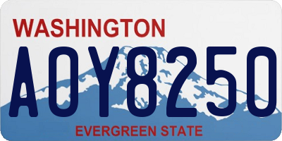 WA license plate AOY8250