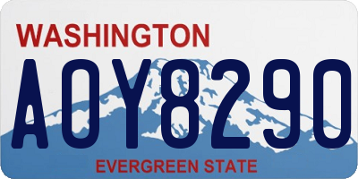 WA license plate AOY8290