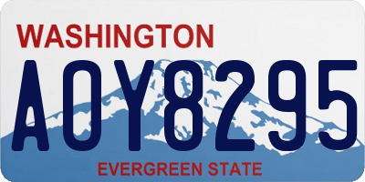 WA license plate AOY8295