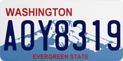 WA license plate AOY8319