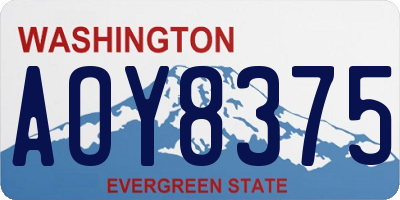 WA license plate AOY8375