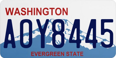 WA license plate AOY8445