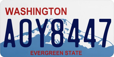 WA license plate AOY8447