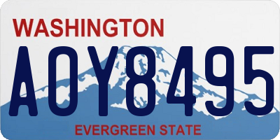 WA license plate AOY8495