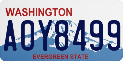 WA license plate AOY8499