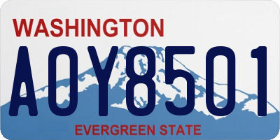 WA license plate AOY8501