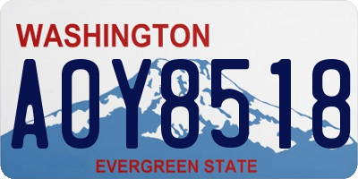 WA license plate AOY8518