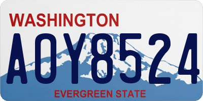 WA license plate AOY8524