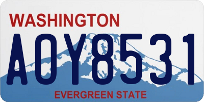 WA license plate AOY8531