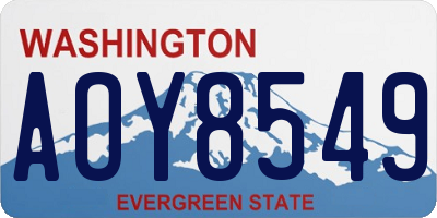 WA license plate AOY8549