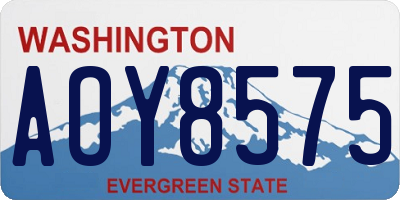 WA license plate AOY8575