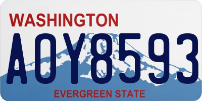 WA license plate AOY8593
