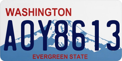 WA license plate AOY8613