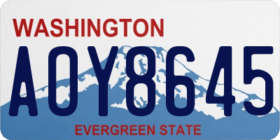 WA license plate AOY8645