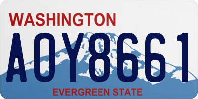 WA license plate AOY8661