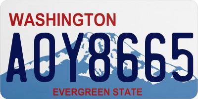 WA license plate AOY8665