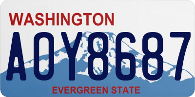 WA license plate AOY8687