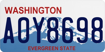 WA license plate AOY8698