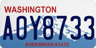 WA license plate AOY8733