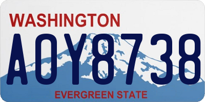 WA license plate AOY8738