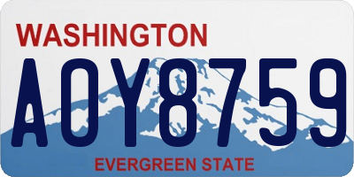 WA license plate AOY8759