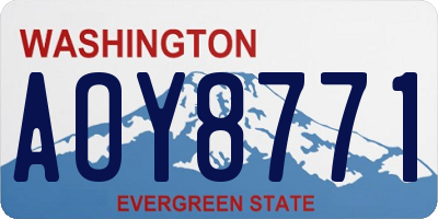 WA license plate AOY8771