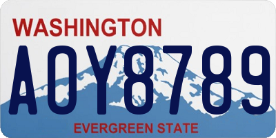 WA license plate AOY8789
