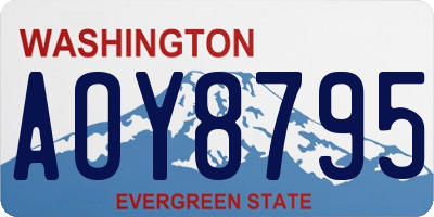 WA license plate AOY8795